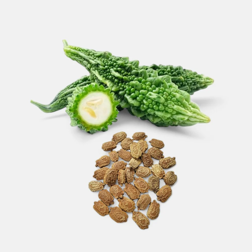 Bitter gourd vegetables