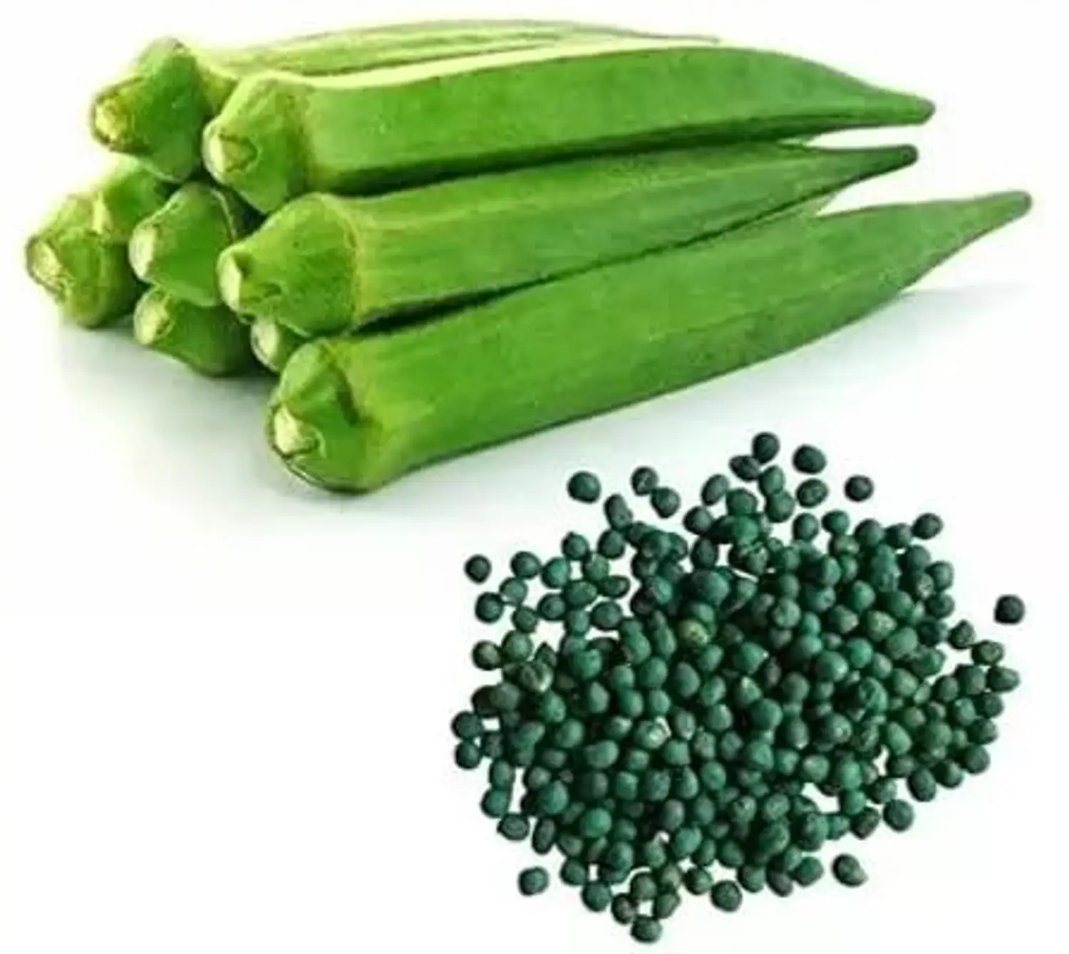 Okra plant and pods